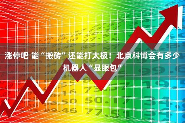 涨停吧 能“搬砖”还能打太极！北京科博会有多少机器人“显眼包”