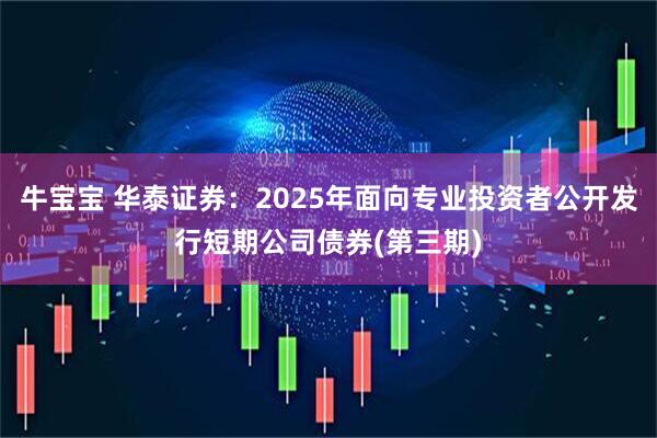 牛宝宝 华泰证券：2025年面向专业投资者公开发行短期公司债券(第三期)