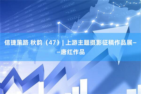 信捷策路 秋韵（47）| 上游主题摄影征稿作品展——唐红作品