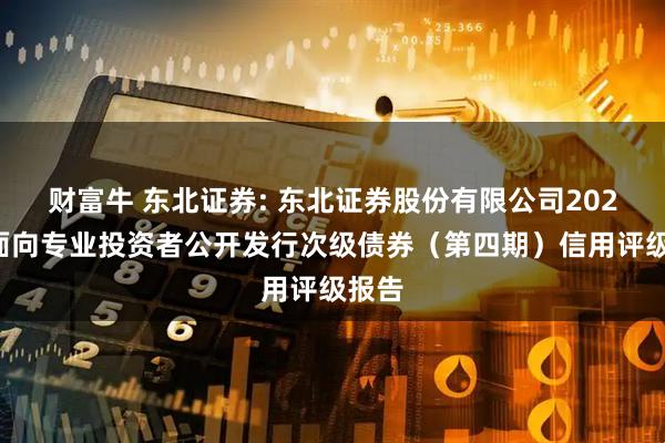 财富牛 东北证券: 东北证券股份有限公司2025年面向专业投资者公开发行次级债券(第四期)信用评级报告