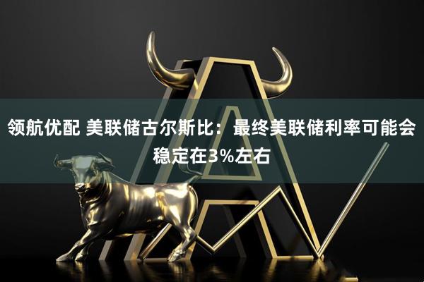 领航优配 美联储古尔斯比：最终美联储利率可能会稳定在3%左右