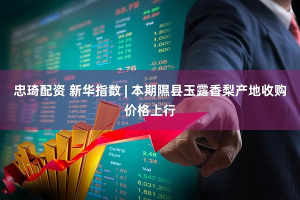 忠琦配资 新华指数 | 本期隰县玉露香梨产地收购价格上行