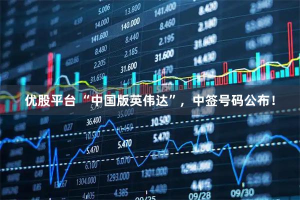 优股平台 “中国版英伟达”,中签号码公布!