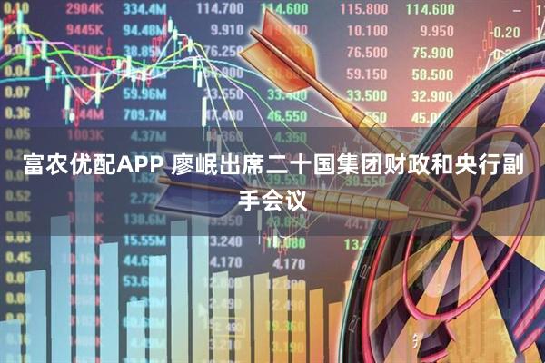 富农优配APP 廖岷出席二十国集团财政和央行副手会议